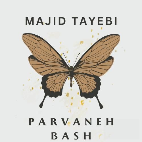 مجید طیبی پروانه باش