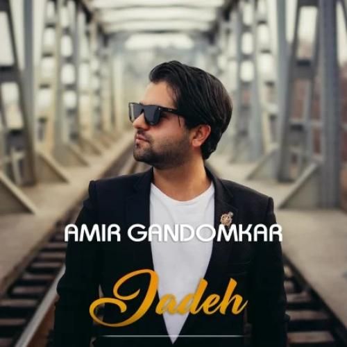 امیر گندم کار جاده