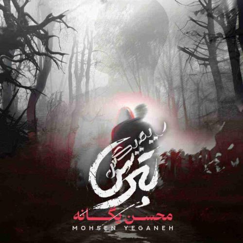  محسن یگانه بترس