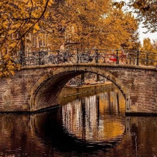 پویان جی سی گرگ و میش