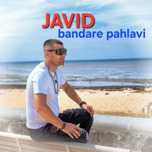 جاوید بندر پهلوی