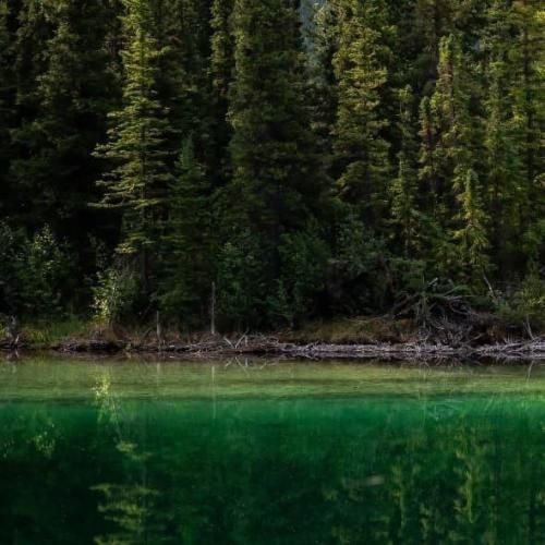 بارانا زیباترین حادثه