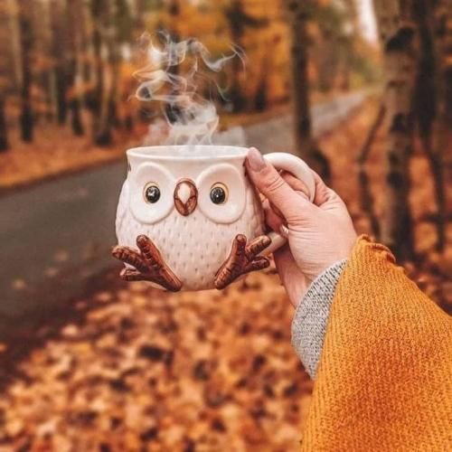 بیتا یه دریا