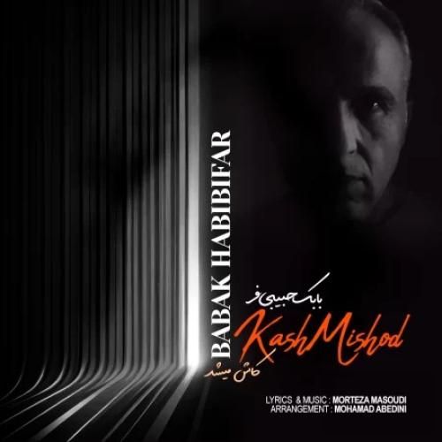 بابک حبیبی فر کاش میشد