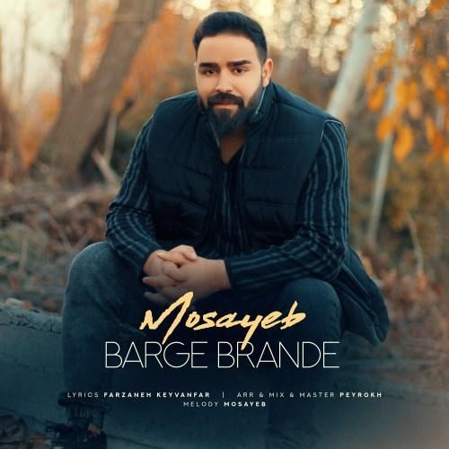 مصیب برگ برنده