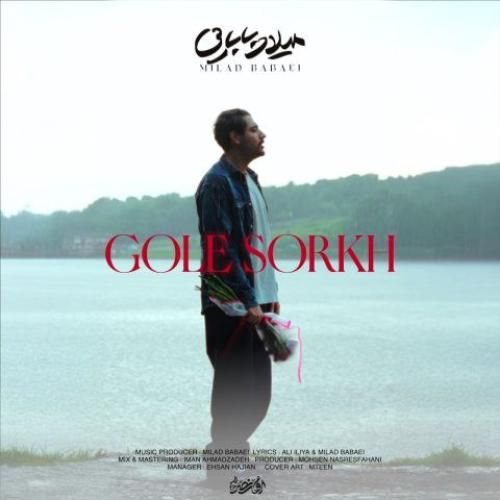 میلاد بابایی گل سرخ