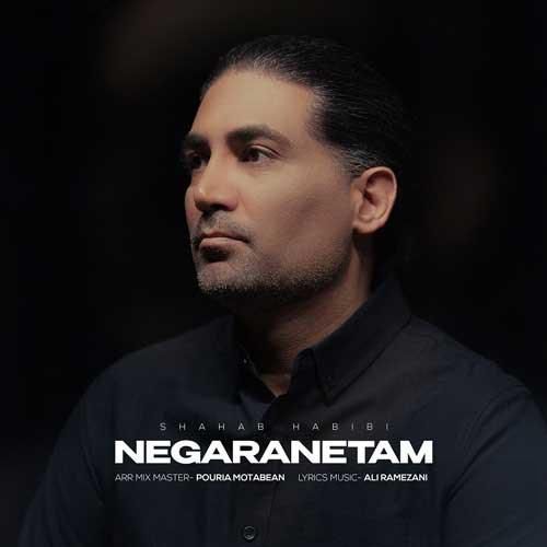 شهاب حبیبی نگرانتم