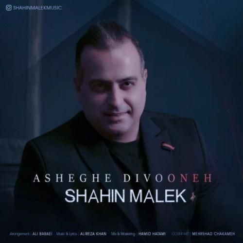 شاهین ملک عاشق دیوونه