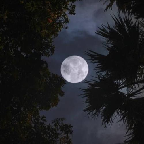  ای وای که چشام شده بد خون یه دستم روی فرمون