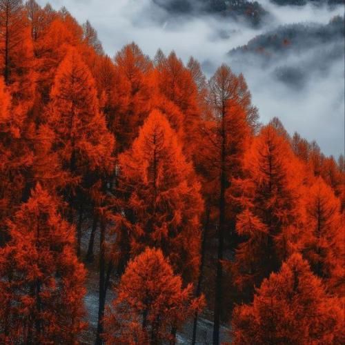  تو برنده نشدی دختر منم که به چشمات باختم