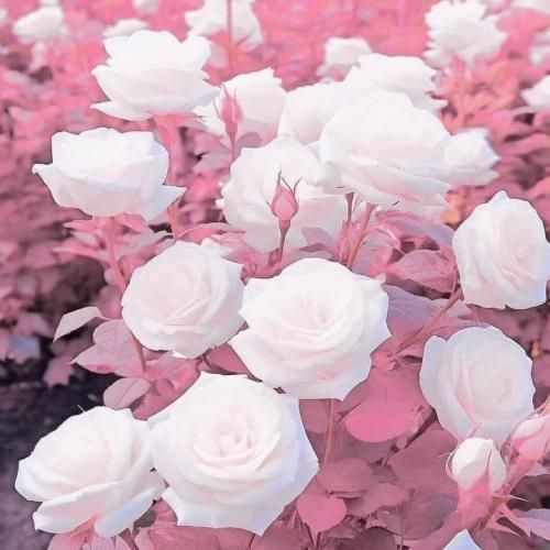 برق برق برق اداره برق ای مسئولین ترند اینستا