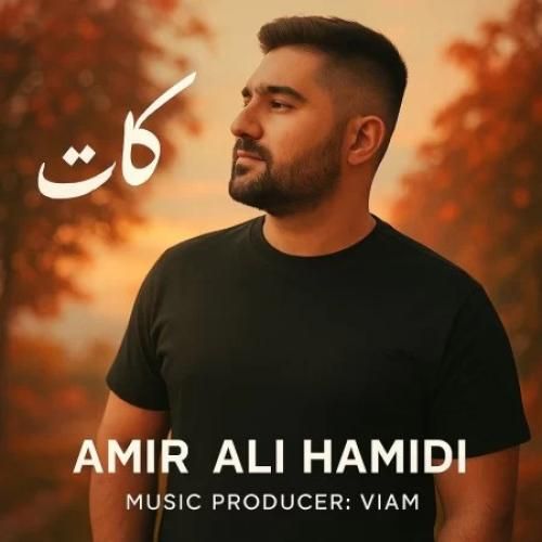 امیر علی حمیدی کات