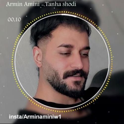 آرمین امینی تنها شدی