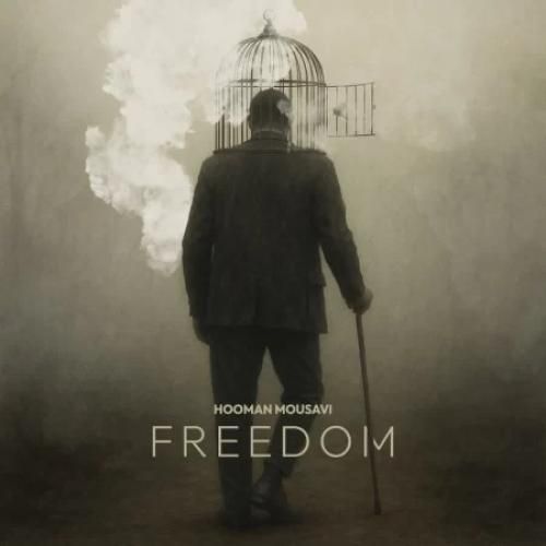 هومن موسوی فریدوم