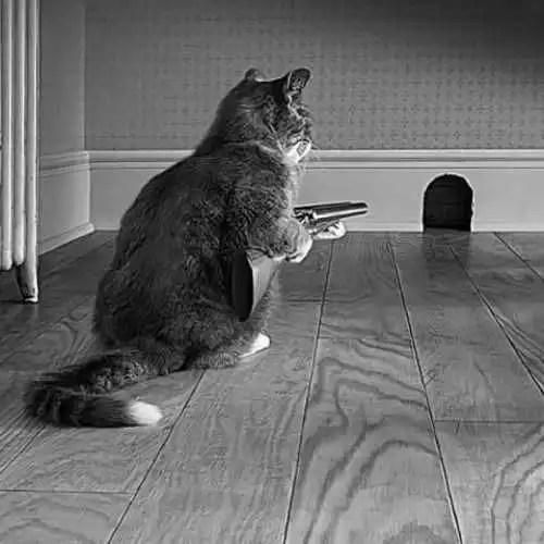 مشرقی و متین فتاحی تقصیر من