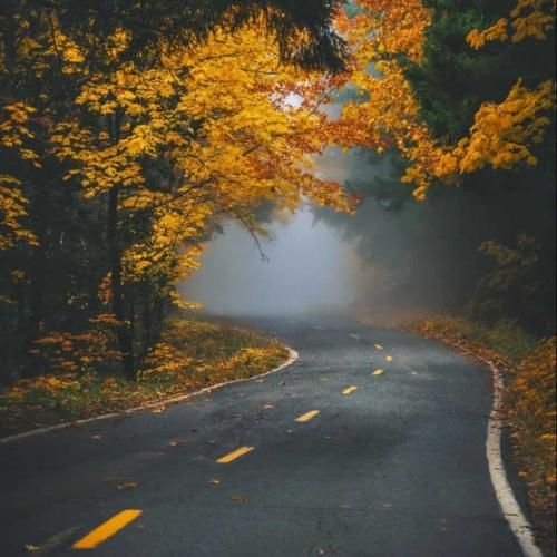 همه شعرام برا تو غم فردات برا من