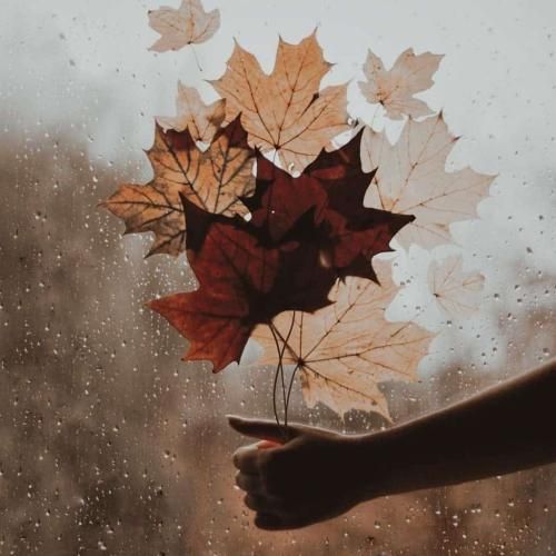 نه بی وجدانم نه اهل غرغر