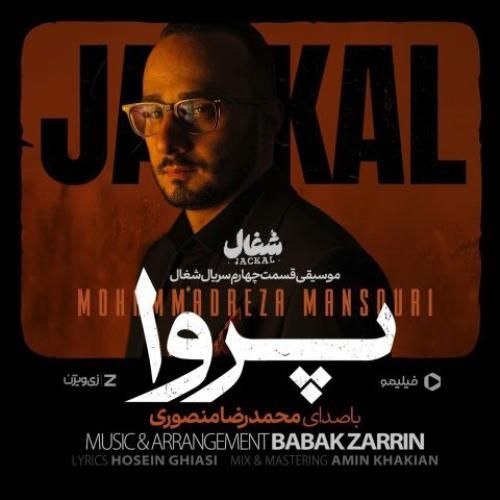 محمدرضا منصوری پروا