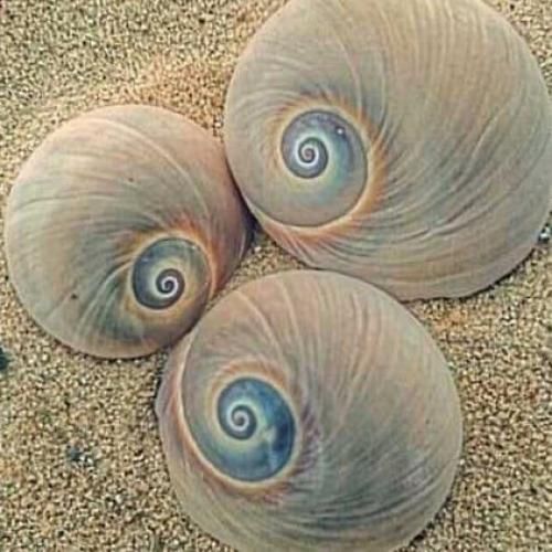  دیگه هرچی غم و غصه خوردم تو این مدت