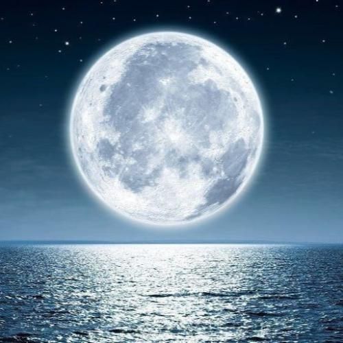 گفت از دل بگو به دل میشینه دل بده حال میده