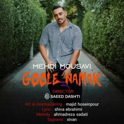 مهدی موسوی گوله نمک