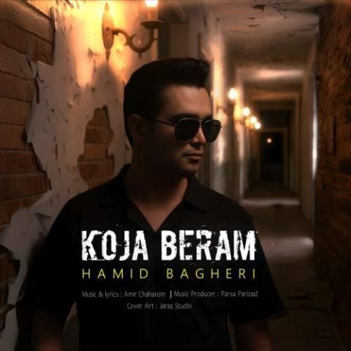 حمید باقری کجا برم