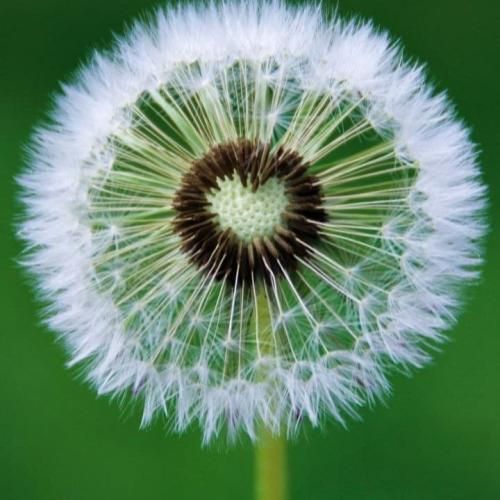 اصلیه تویی که میدونم سلیقتو میدونی تایپمو