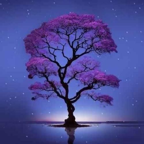 کاش میتونستم درارو باز کنم بسوی تو الانه پرواز کنم