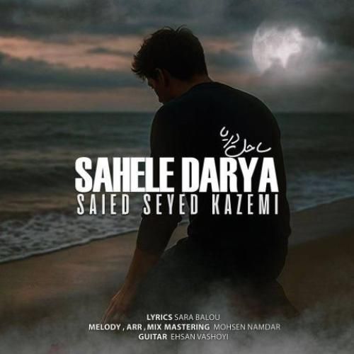 سعید سیدکاظمی ساحل دریا