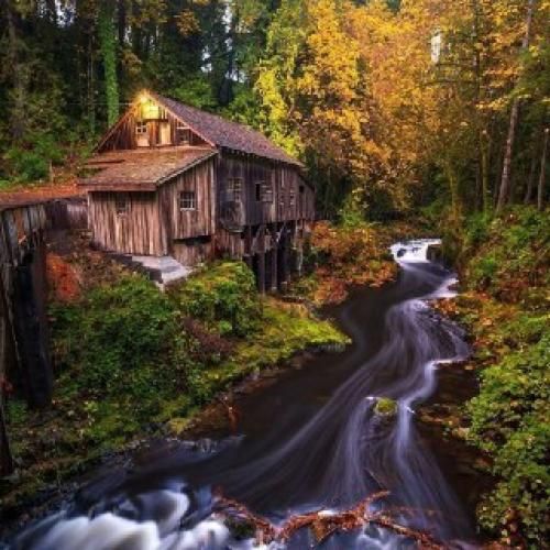 من که مال پرواز نبودم خب چرا بالامو وا کردی