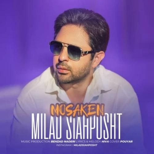 میلاد سیاه پشت مسکن