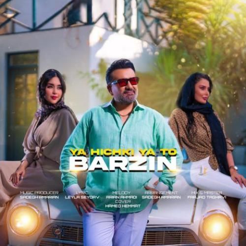 برزین یا هیچکی یا تو