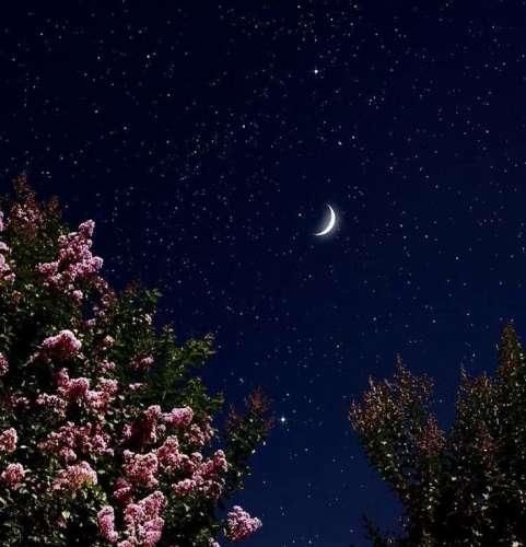 تو فقط برو من میزنم هزینشو