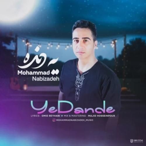 محمد نبی زاده یه دنده