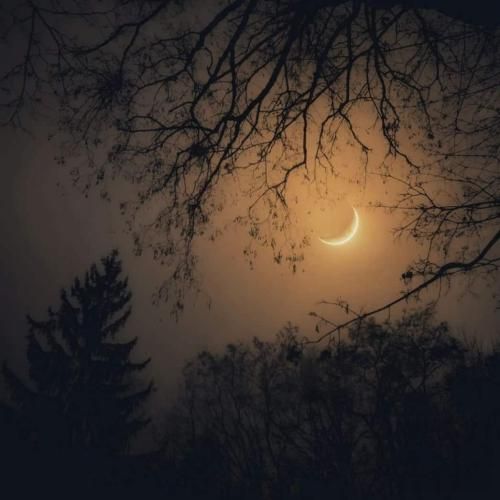 آخه چشامون بخورن به هم داستان داریم