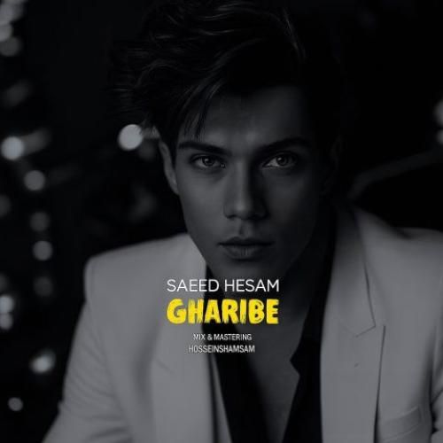 سعید حسام غریبه