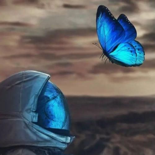 حالم اصلا خوب نی دیدمت با اونی قرار نبود بری