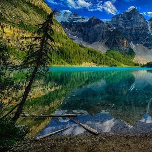 میگم از اینجا به بعد تنگ میشه دلت واسه کی