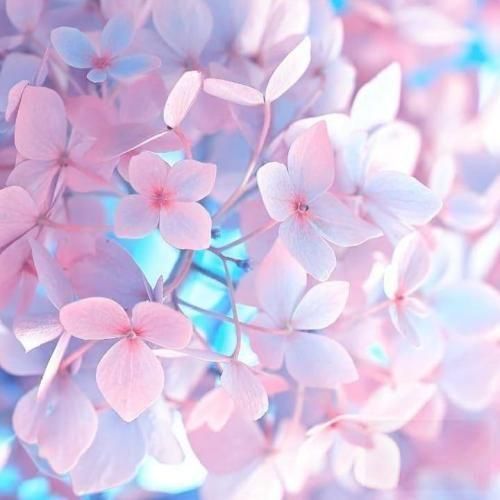 دانلود اهنگ چهار صبح یاد تو میمونم عزیزم با یه بغض دانلود اهنگ چهار صبح یاد تو میمونم عزیزم با یه بغض