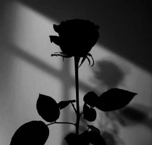 خو بگو بینم چه خبر تو چاییتو بخور