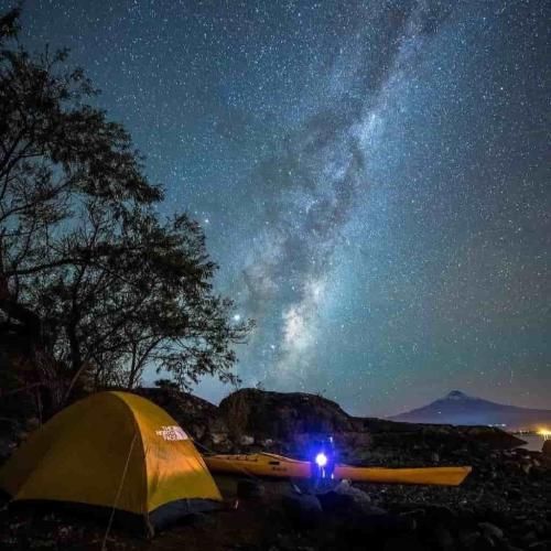 تاپلس با یه جین سایه اکلیل لاک جیغ