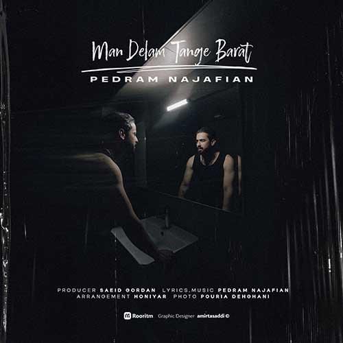 پدرام نجفیان من دلم تنگه برات