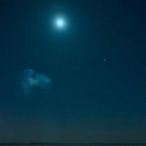 دوتا بطری هاینیکن زدیم همه چیو ولی بازم