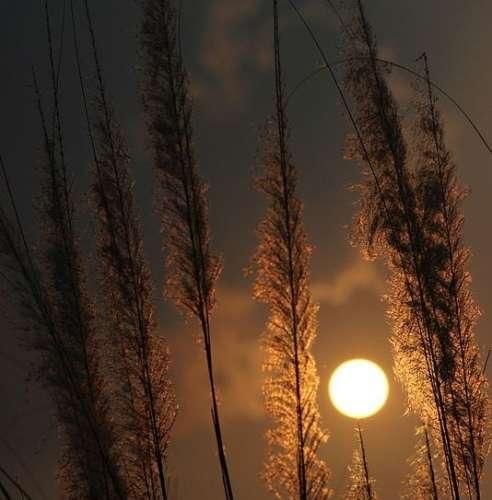 دانلود اهنگ همه زندگیمو یه روز کتابش میکنم