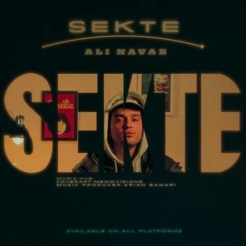 دانلود اهنگ جدید علی نواب بنام سکته