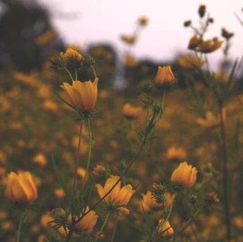 دانلود ریمیکس انقد بهم میس نده شمارت تو بلک لیستمه