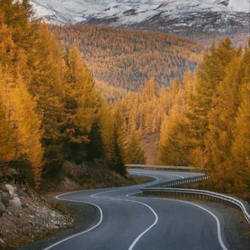 دخی با دلم میکنه بازی بازی منم بازیو بلدم