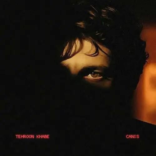 دانلود اهنگ جدید کنیس بنام تهرون خوابه