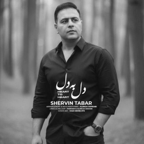 دانلود اهنگ جدید شروین تبار بنام دل به دل