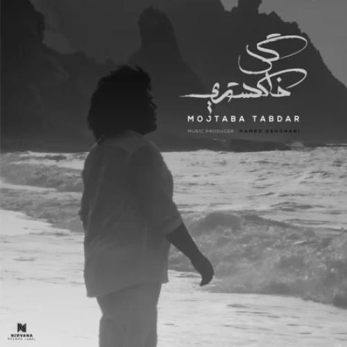 دانلود اهنگ جدید مجتبی تابدار بنام گل خاکستری